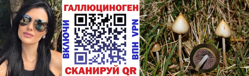 Купить  Полесск  Галлюциногенные грибы GOLDEN TEACHER 